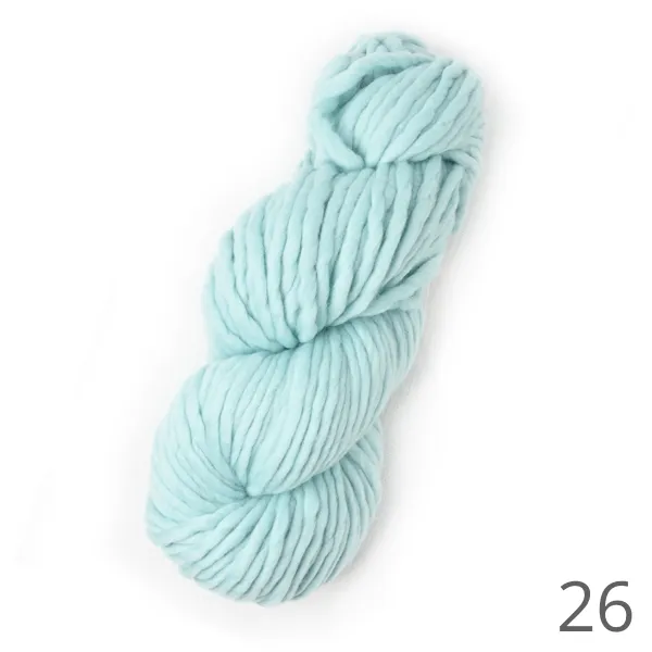 Beginner Knitting Kit: Squishy Merino