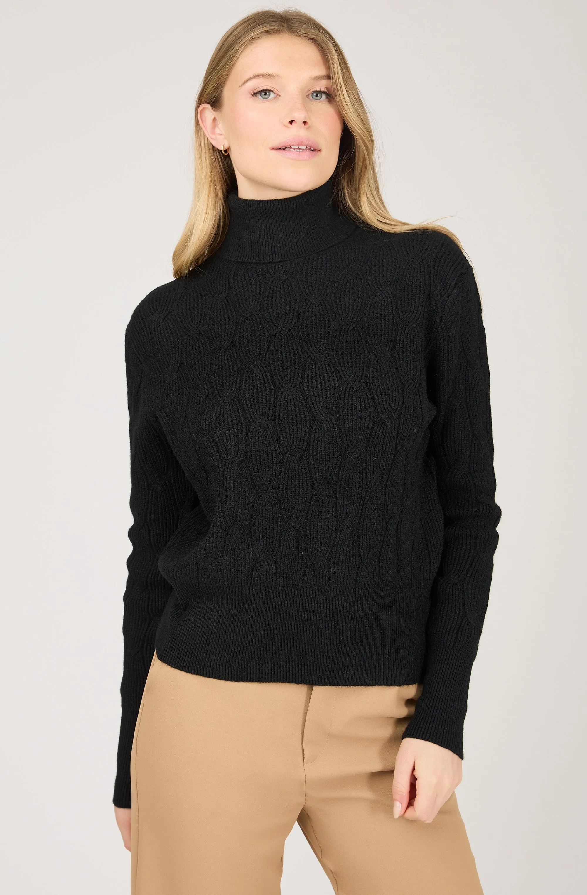 Cable Knit Turtleneck Sweater