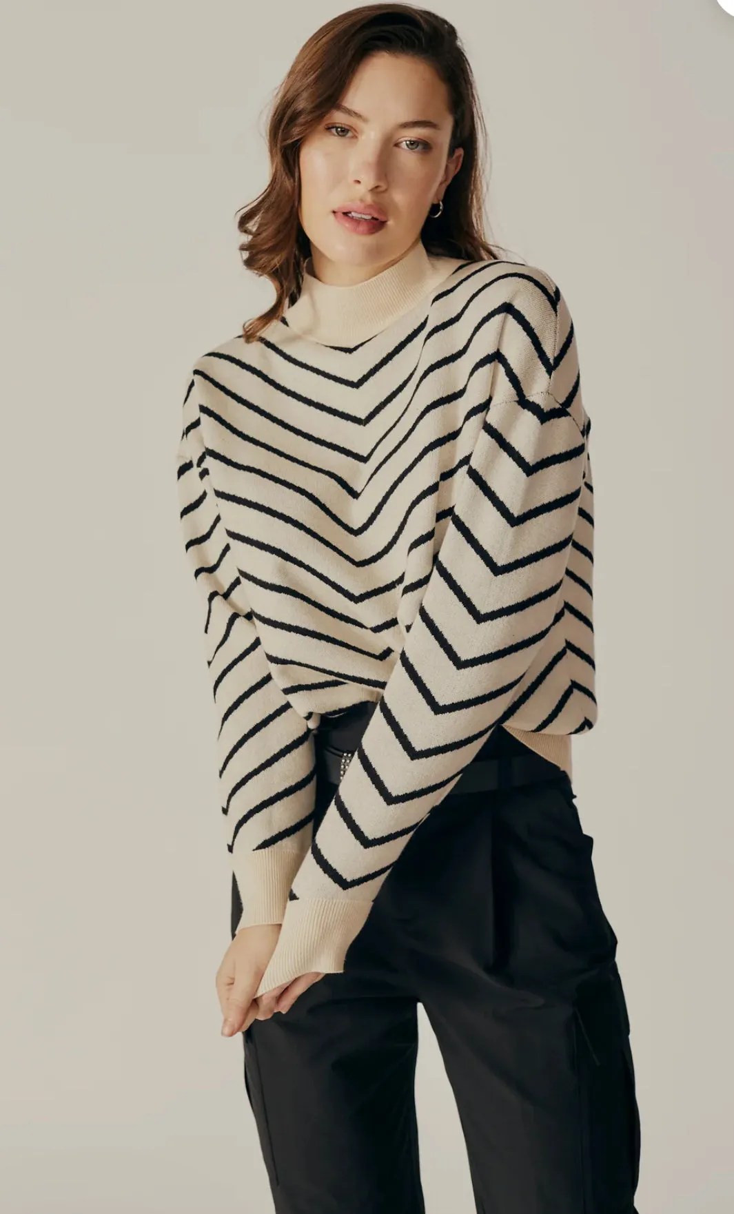 DELUC WEIGELA STRIPED TURTLENECK SWEATER