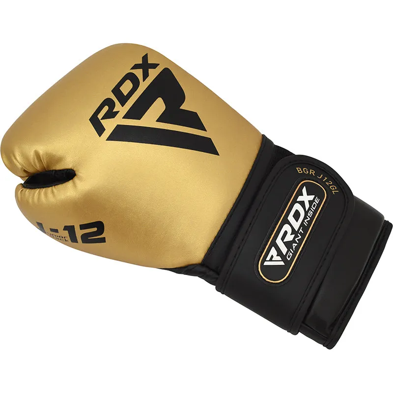 RDX J12 KIDS 6oz Boxing Gloves & Focus Pads Set