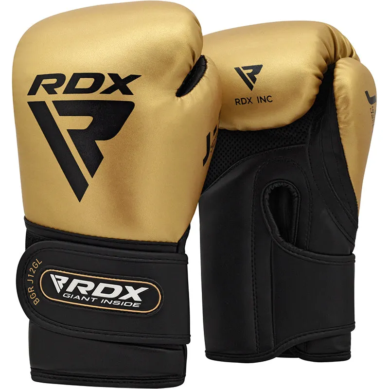 RDX J12 KIDS 6oz Boxing Gloves & Focus Pads Set