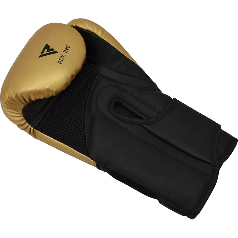 RDX J12 KIDS 6oz Boxing Gloves & Focus Pads Set